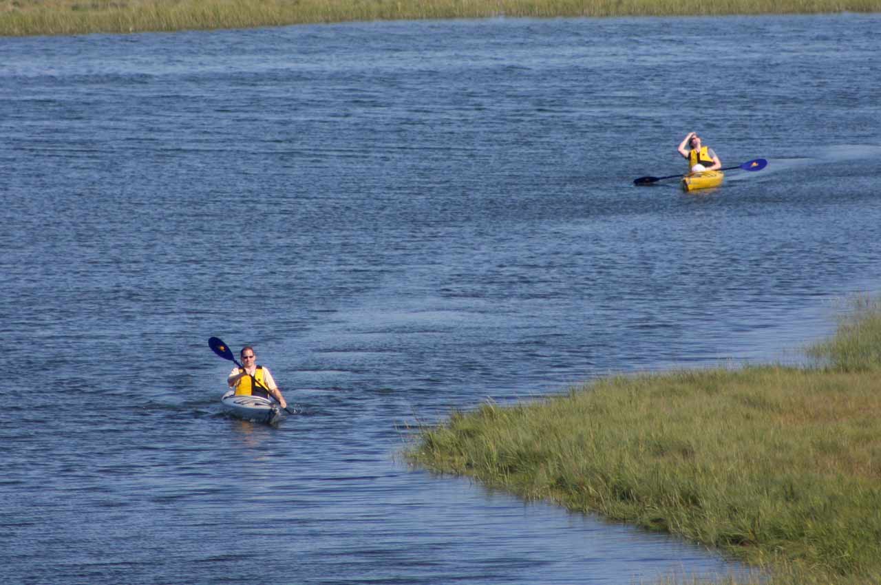 Kayaking on the marsh lands
