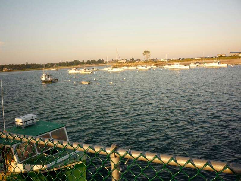 Well Harbor at Sunset