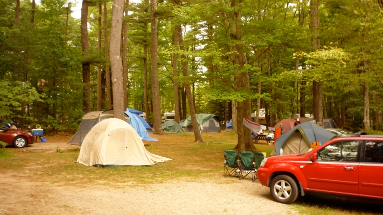Wooded Tent Sites